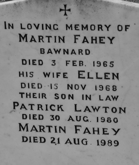 Fahey, Martin, Ellen, Patrick Lawton, Martin Fahey.jpg 127.6K